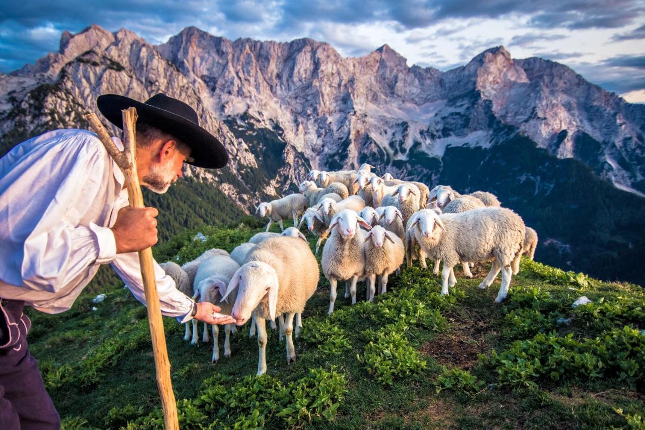 Tourist Farm Senkova Domacija Villa Zgornje Jezersko Exterior foto